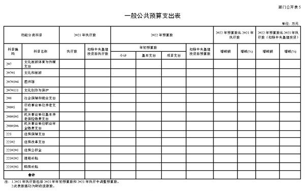 1_中數集團2022年度部門(mén)預算_Page9.jpg